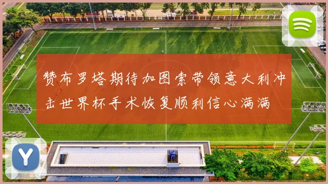 赞布罗塔期待加图索带领意大利冲击世界杯手术恢复顺利信心满满