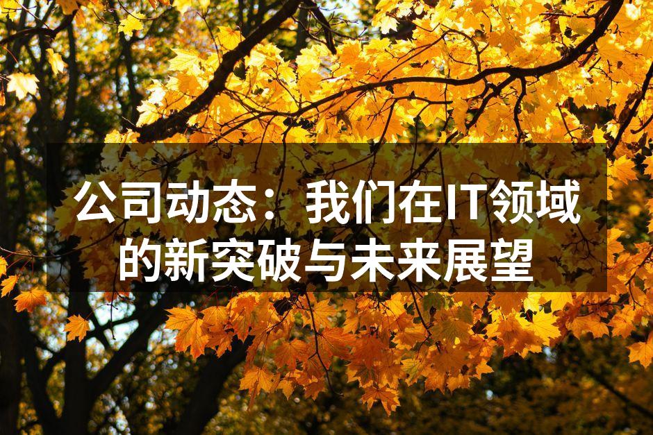 公司技术创新展示