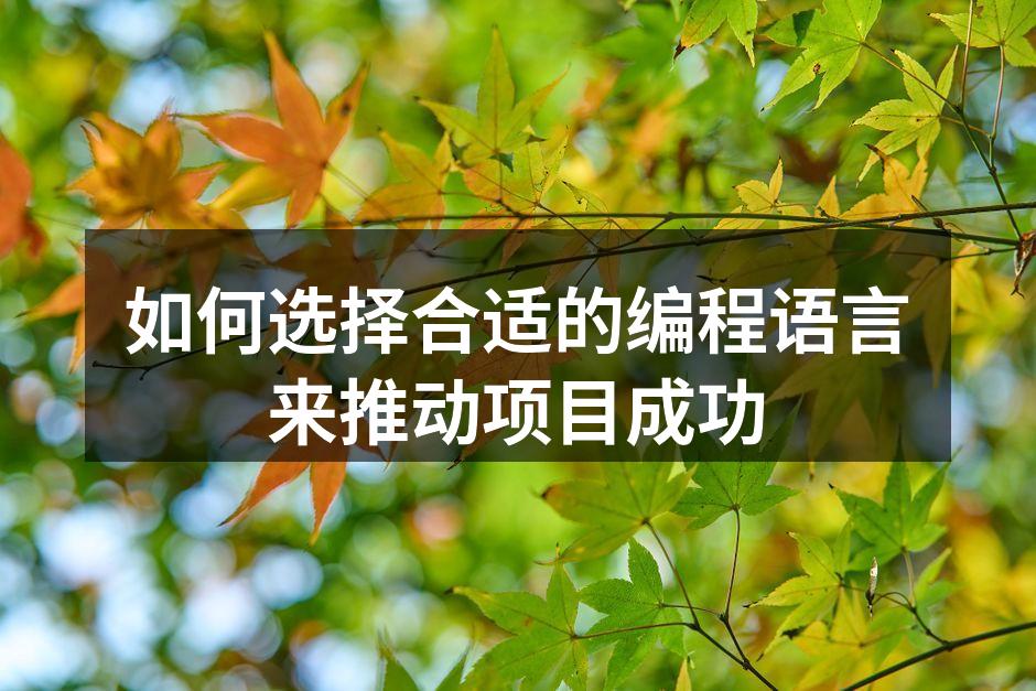 如何选择合适的编程语言来推动项目成功